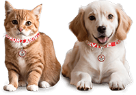 Assistance Animal ESAcert with collar and metal tag