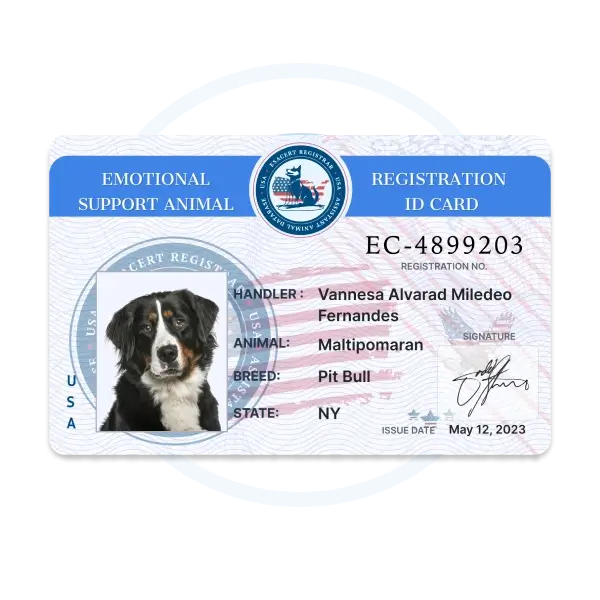 Physical ESA ID Card