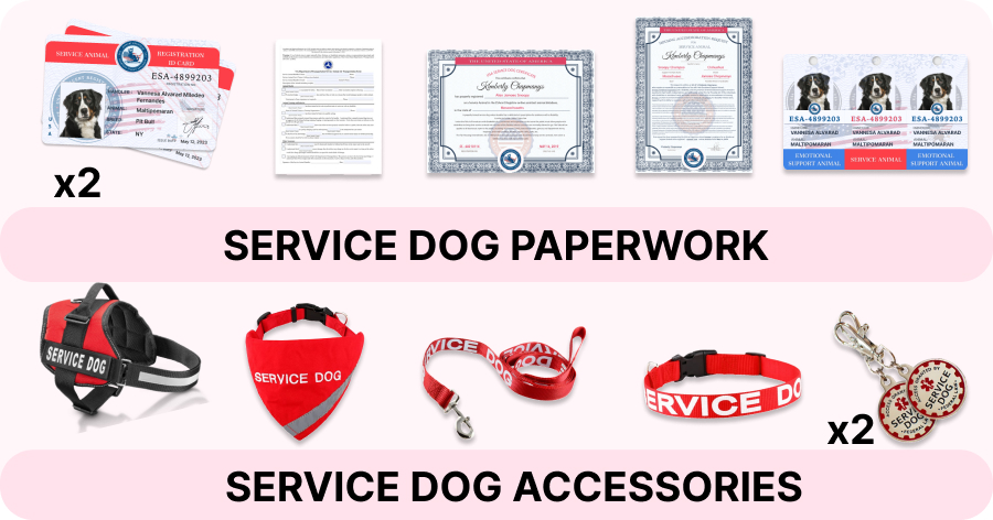 Service Dog Full Kit Includes