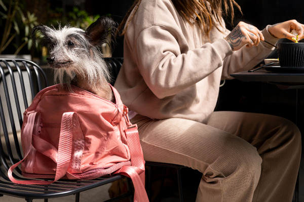 emotional support animal with a girl